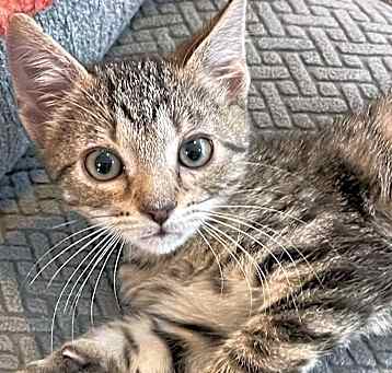 Photo of Danvers