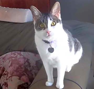 Photo of Amy