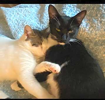 Photo of Kissy Love