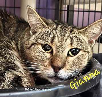 Photo of Gianna