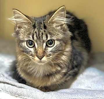 Photo of Twix