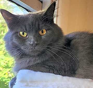 Photo of Sierra