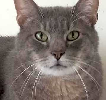 Photo of Murphy