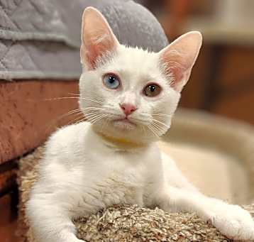 Photo of Bunny