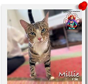 Photo of Millie