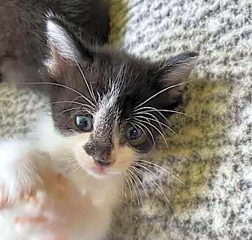 Photo of Reginald