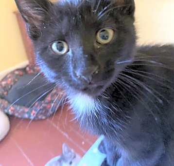 Photo of Simon