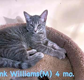 Photo of Hank