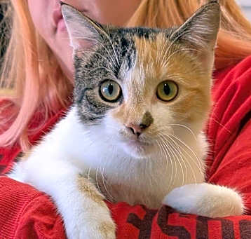 Photo of Corinne