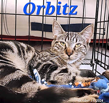 Photo of Orbit