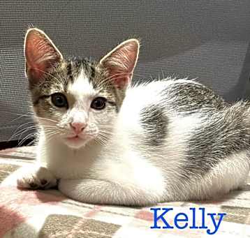 Photo of Kelly