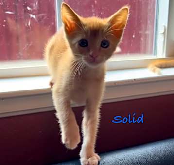 Photo of Solid