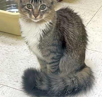 Photo of Zuzu (must go with Janie)