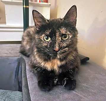 Photo of Espresso 0464