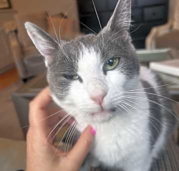Photo of Star (of The Family)