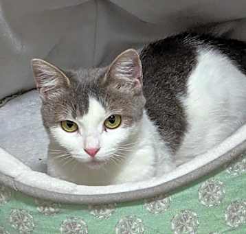 Photo of Morningstar