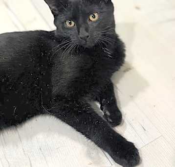 Photo of Penelope