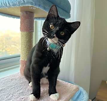 Photo of Harley
