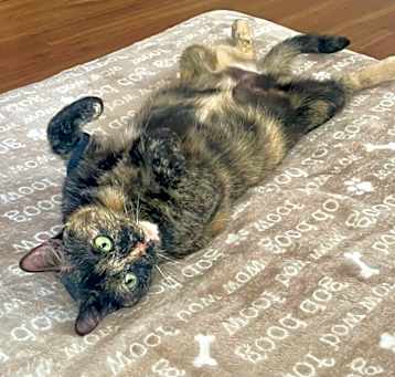 Photo of Mabel