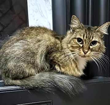 Photo of Alice