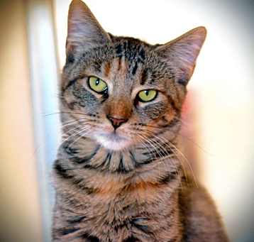Photo of Ellie