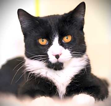 Photo of Annie