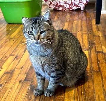 Photo of Sophia