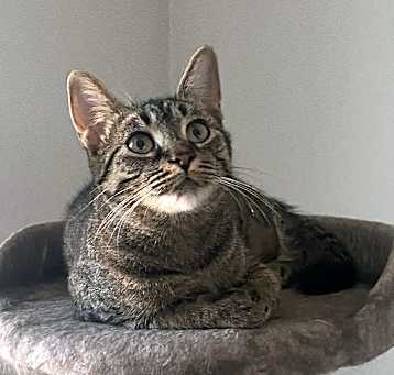Photo of Seraphina