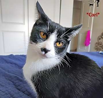 Photo of Carl