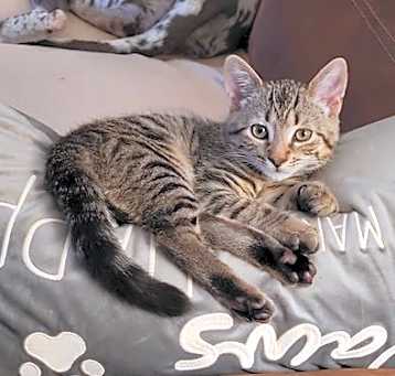 Photo of Obie
