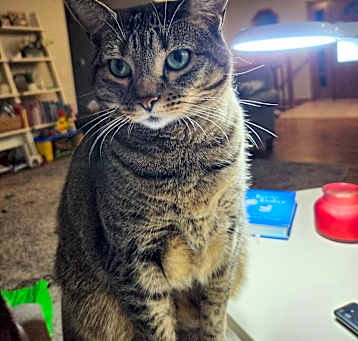 Photo of Ella
