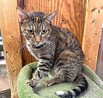 Photo of Trinity