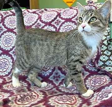 Photo of Rowena