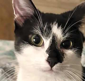 Photo of Molly