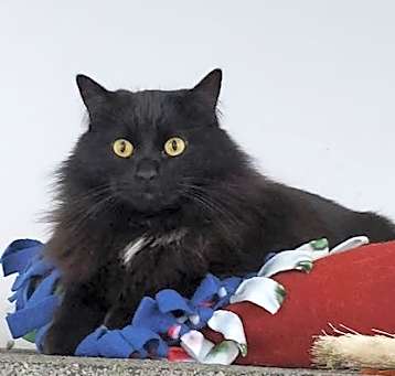 Photo of Grommet