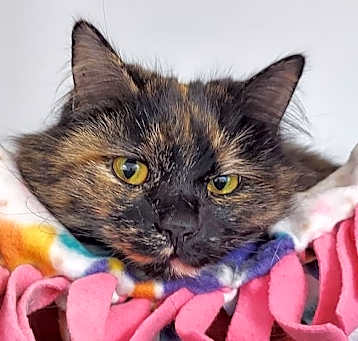 Photo of Deanna