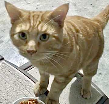Photo of Sam
