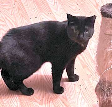 Photo of Sonnie