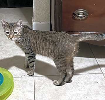 Photo of Zuzu