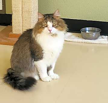 Photo of Rocky