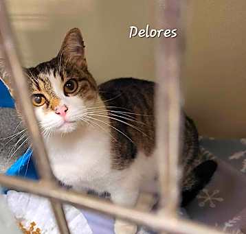 Photo of Delores