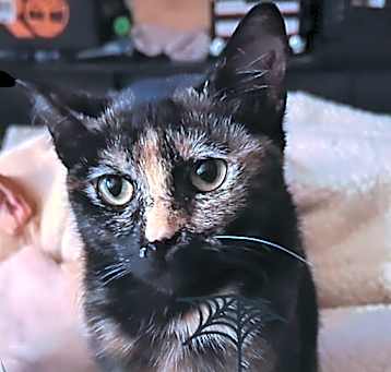 Photo of Sophia