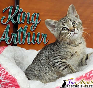 Photo of King Arthur