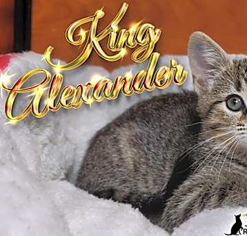 Photo of King Alexander