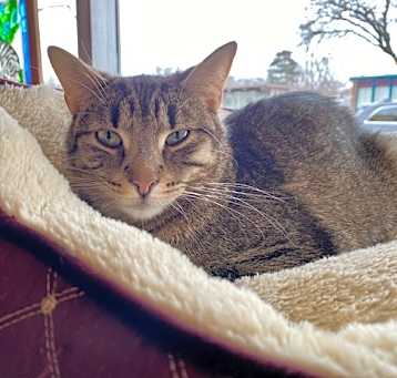 Photo of Sally Kat