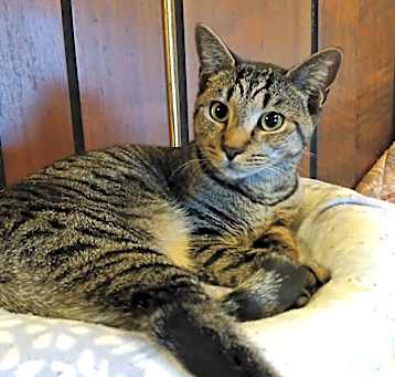 Photo of Persephone