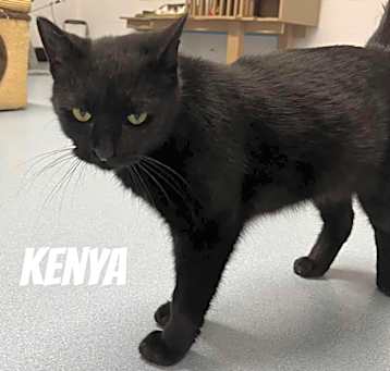 Photo of Kenya