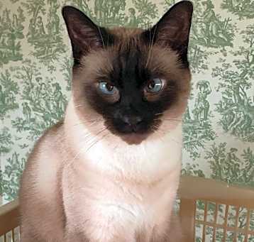 Photo of Sarah 3
