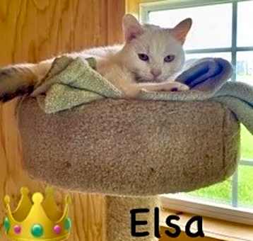 Photo of Elsa-fee sponsored