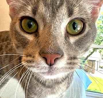 Photo of Uno